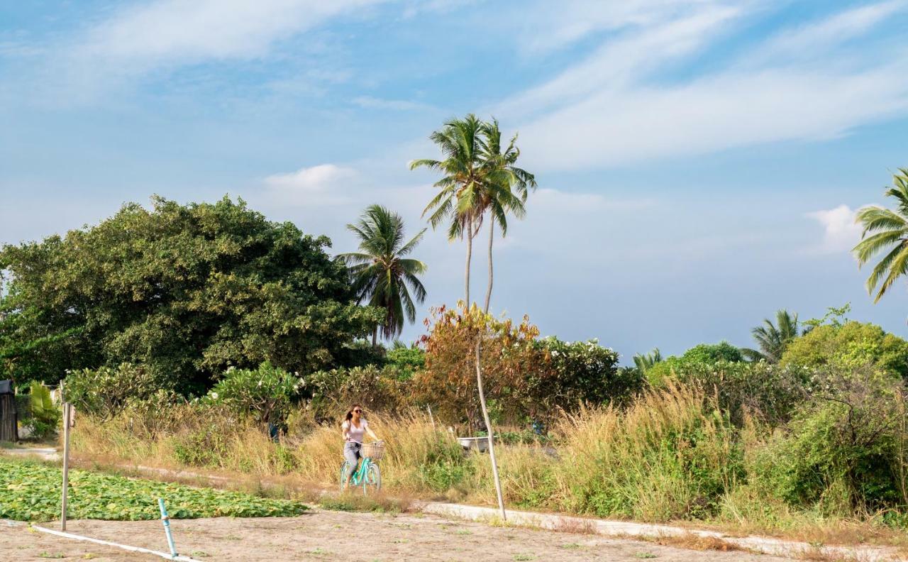 فندق أوليف غويدهو Goidhoo المظهر الخارجي الصورة
